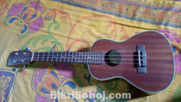 Ukelele 24